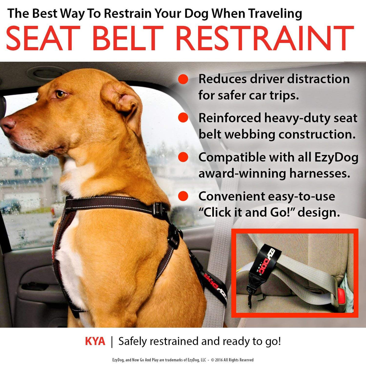 EzyDog Car Seat Belt Attachment ZCSABLK Protective Seat Covers