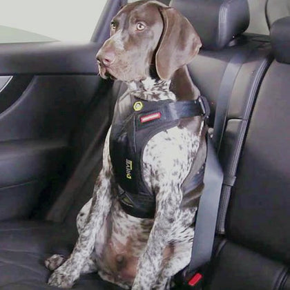 EzyDog Dog - Pet Travel Accessories