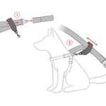 EzyDog Car Seat Belt Attachment