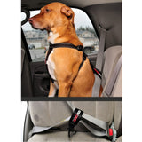 EzyDog Car Seat Belt Attachment