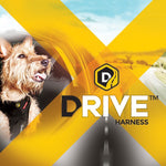 EzyDog Drive Car Harness
